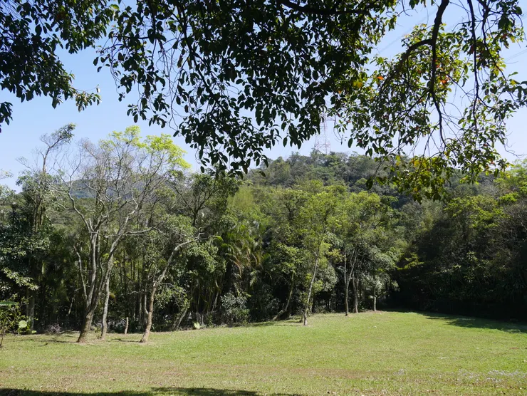 可以野餐、曬太陽的大草地