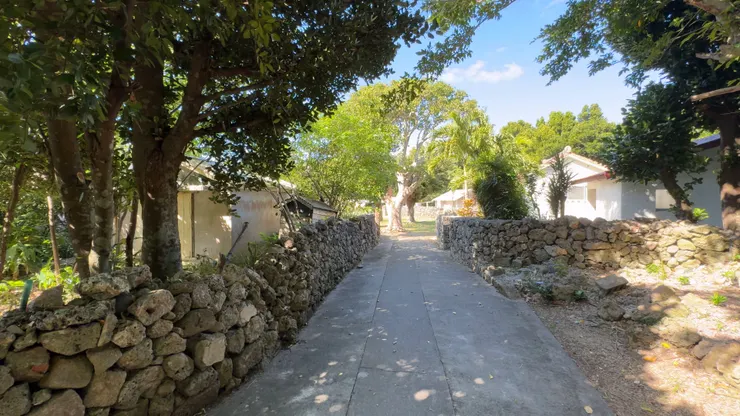 在路上很少會遇到人，都是這樣與世隔絕的氛圍。