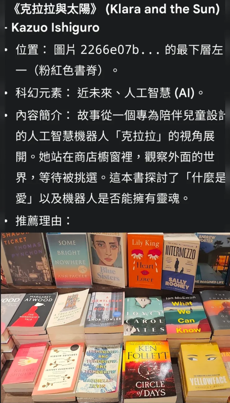 隨手一拍請 Gemini 分析適合我的書籍