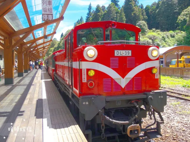 阿里山森林小火車(沼平車站)