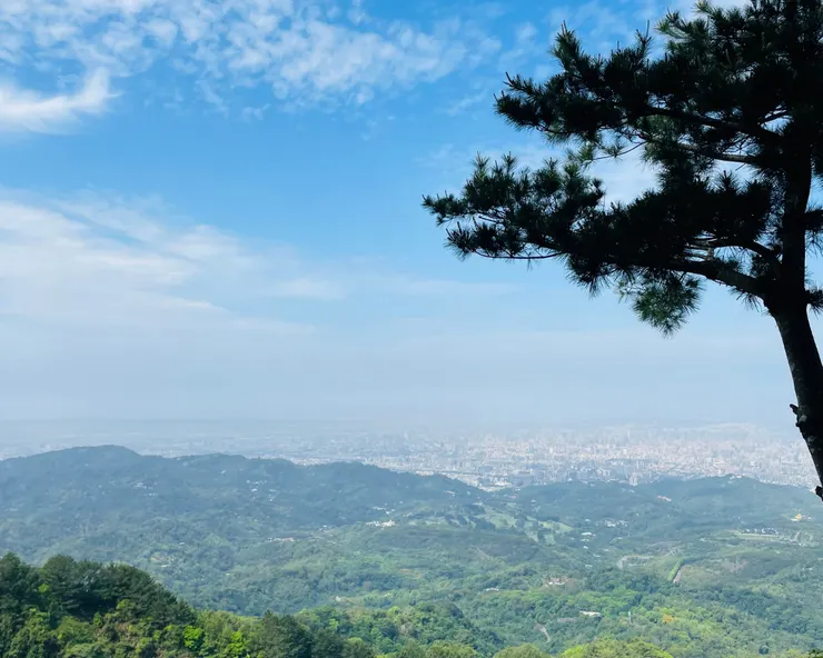頭嵙山景色