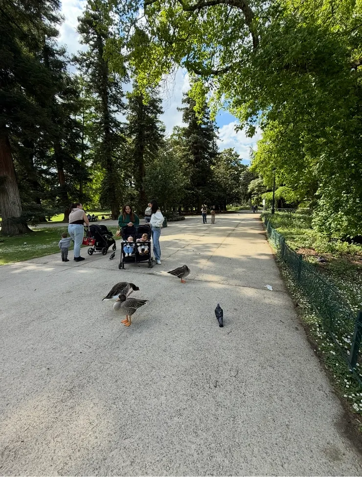 大人小孩都開心的好地方