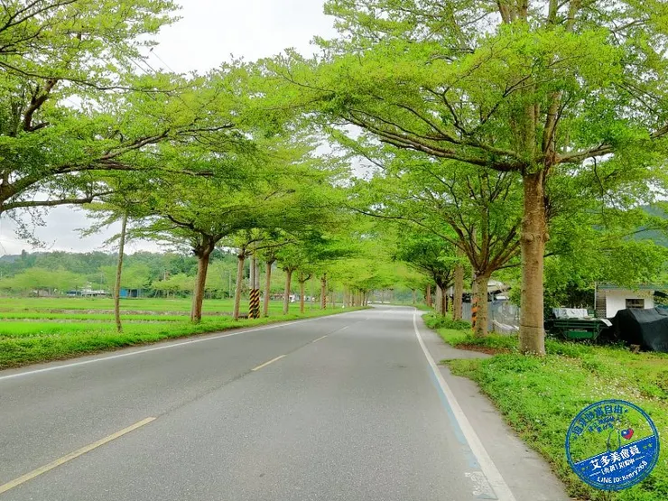 ▲花蓮 193縣道風光▲