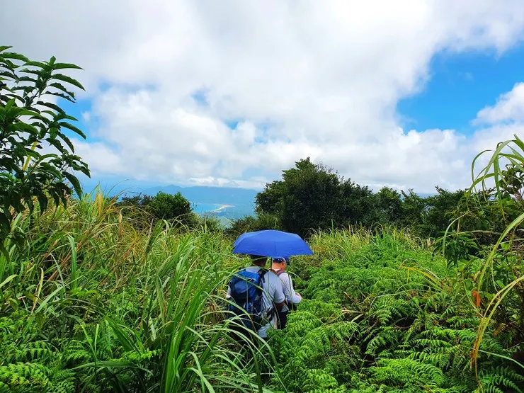 突破芒草區看見福隆海岸