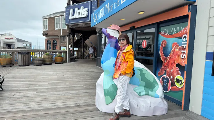 39號碼頭海獅意象