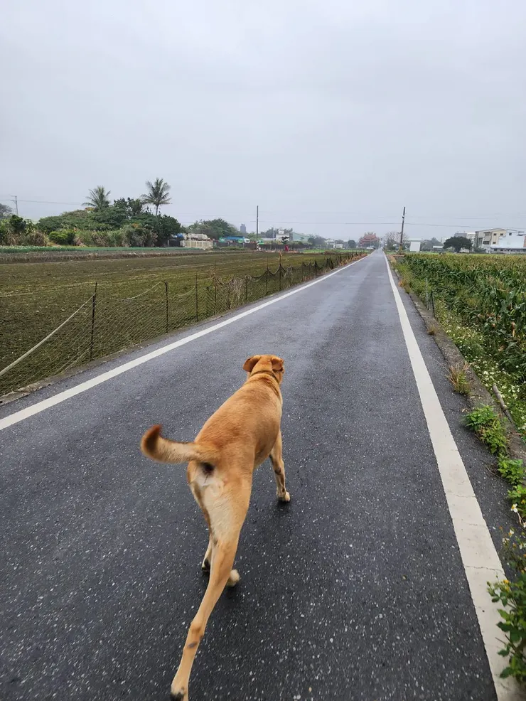 後來，我只希望 你，我， 一切安好。