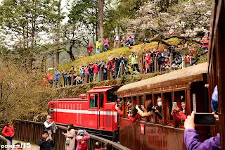 水山線芭樂點上滿滿的攝影人潮