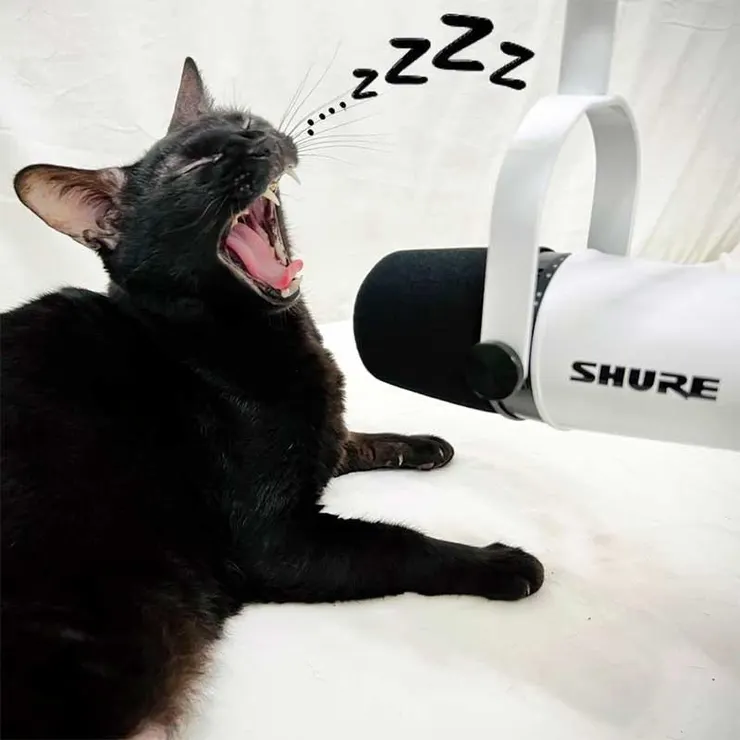 然後喵喵工作完吃個飯後，打個哈欠就要睡覺了😴😴😴