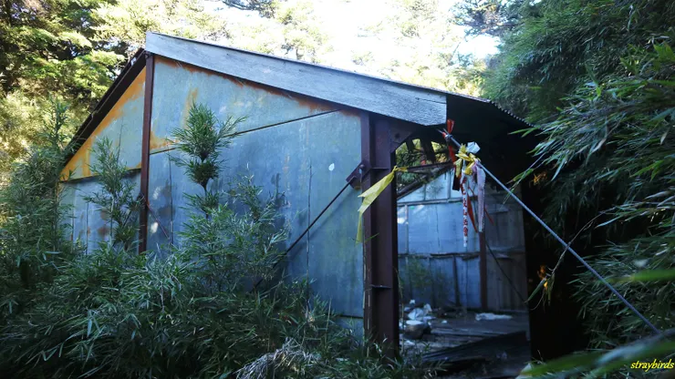 7:05來到廢棄巴拉紗雲山屋(此處為I聖與Y聖交會點)