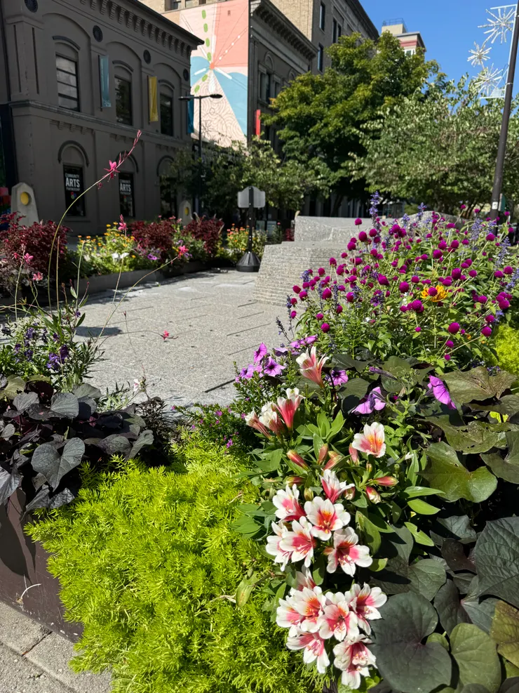 伊薩卡鎮中心的人行步道區。