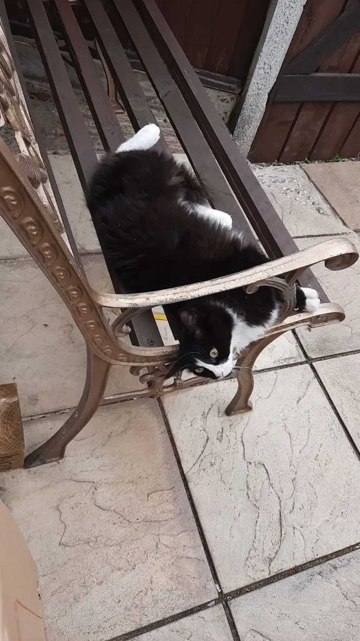 一起看我佔據的地方，這張長凳