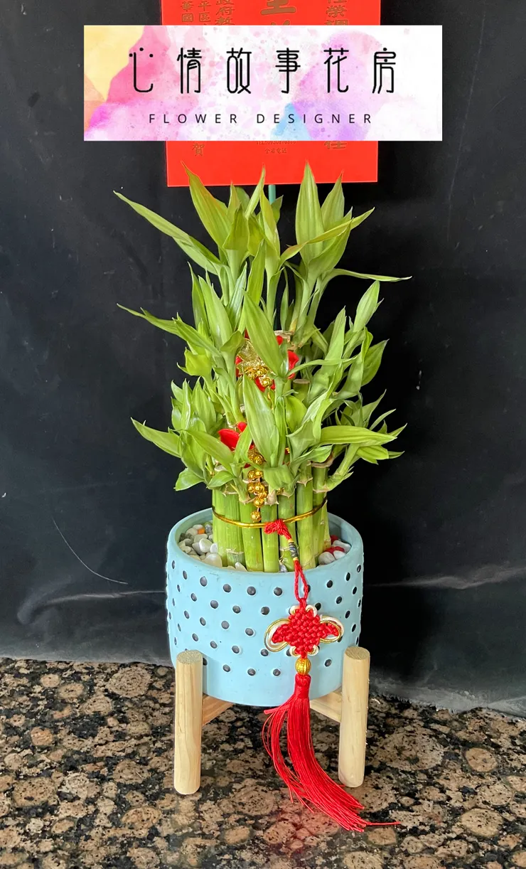 台南安南區花店【心情故事花房】：結合強健植栽的多樣化組合盆栽，為室內環境增添活力、美感與長久持續的健康生長