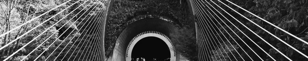 老羅的時光膠囊