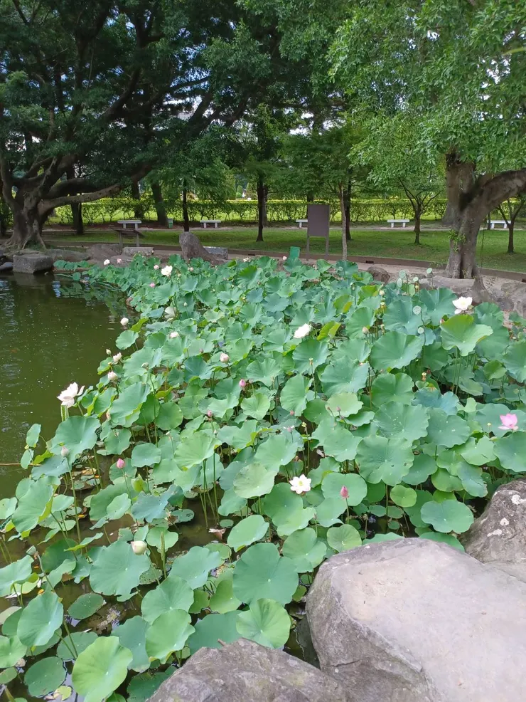 中正紀念堂－雲漢池