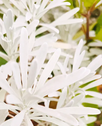 那一刻，我們感受到存在