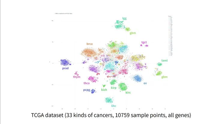 我在五月的實作中，繪製好的t-SNE圖