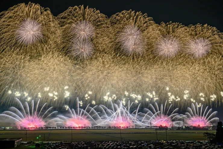 Source：Shutterstock