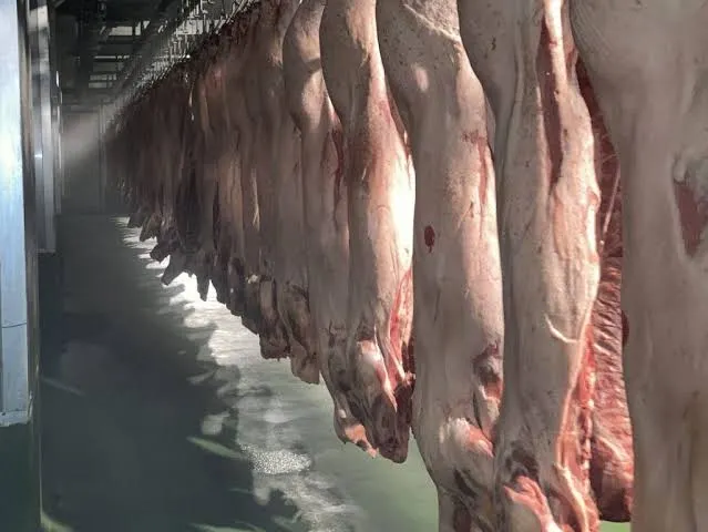 此為倒吊豬肉，示意用，羊肉也是同樣流程-照片取自網路