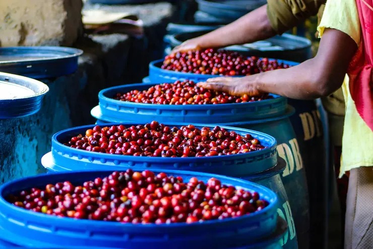 二氧化碳浸漬法處理桶