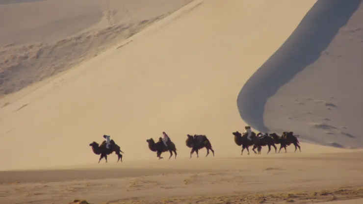 行人刁斗風沙暗，平沙莽莽黃入天