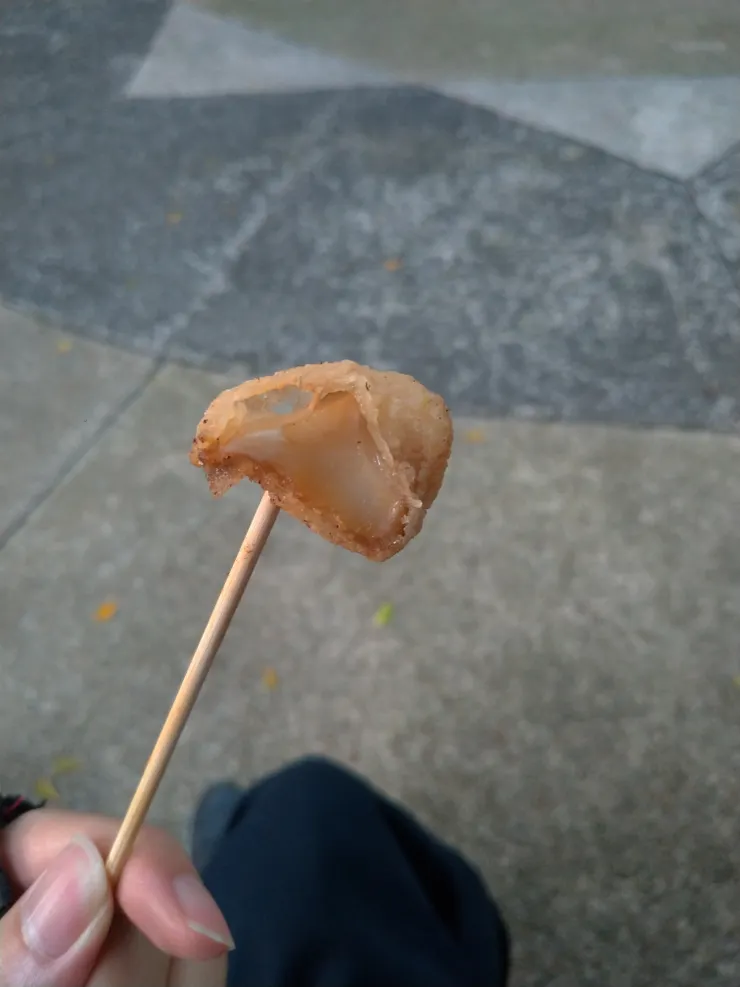 圖片來源：自攝