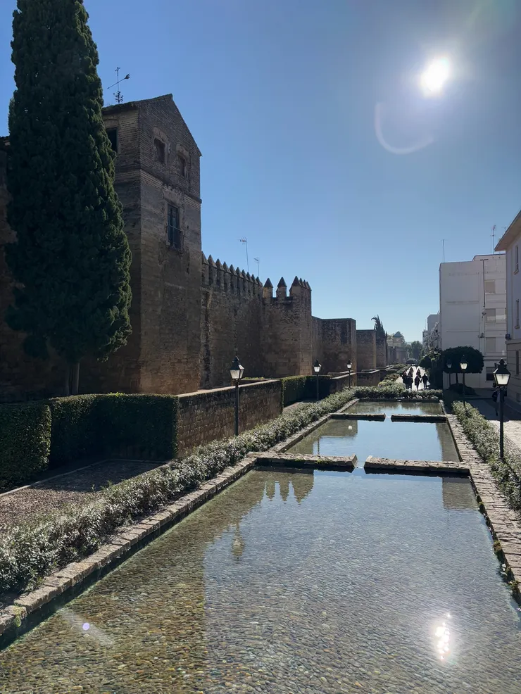 清真寺主教座堂外的護城河