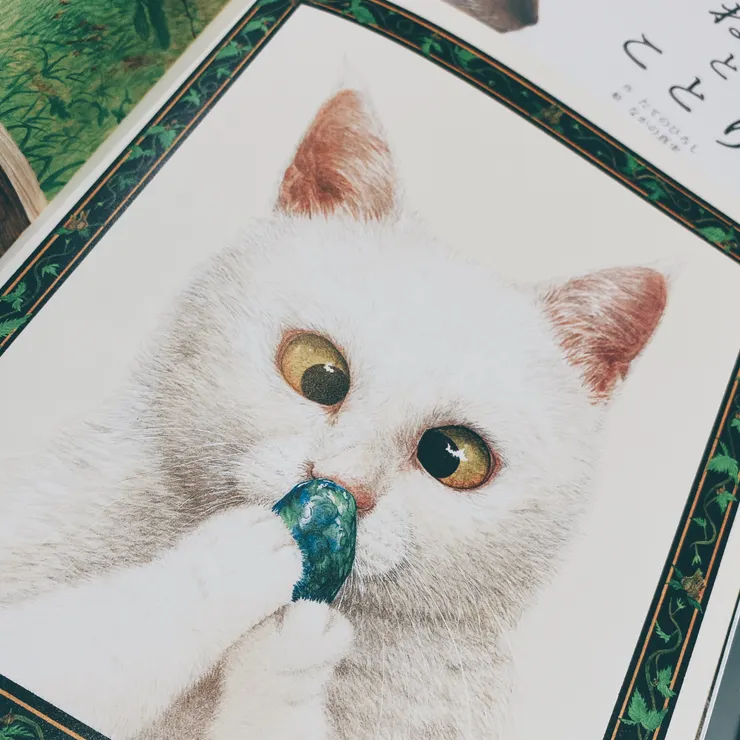 《みどりの がけの ふるい いえ》