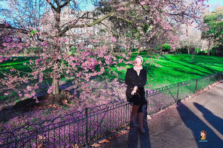 shot by M@ London。03/2020.