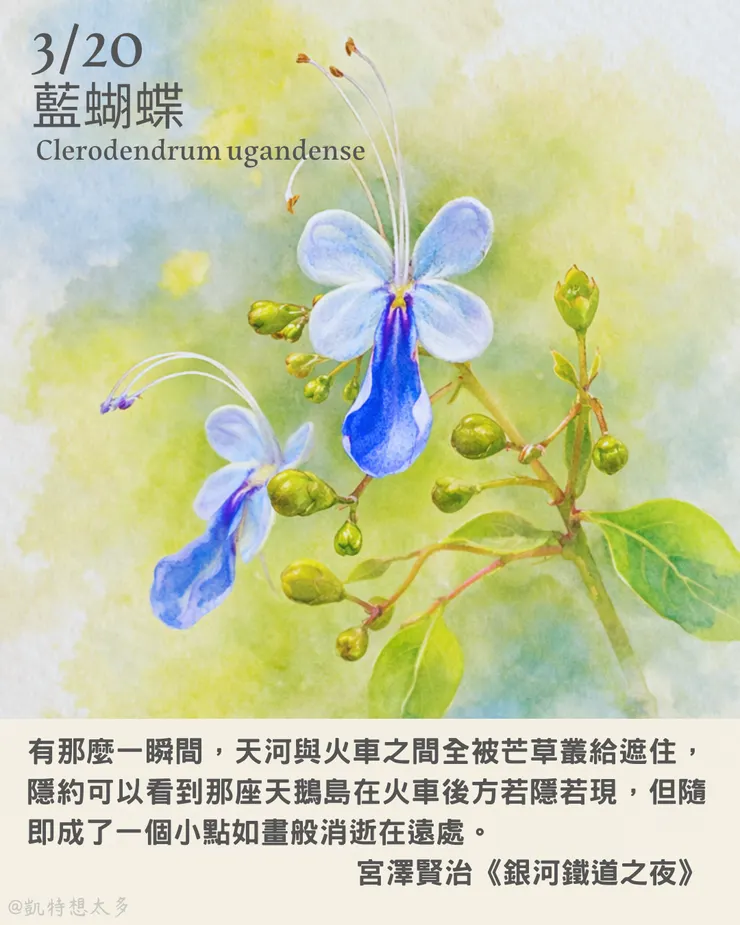 3 月 20 日｜藍蝴蝶×宮澤賢治《銀河鐵道之夜》