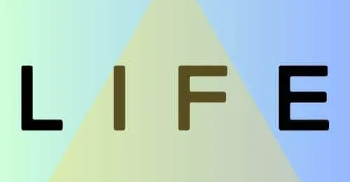 生活口袋LifeinPocket