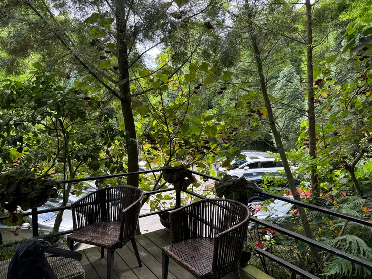 路邊常有可以發呆思考人生的椅子將你藏進一片綠意裏