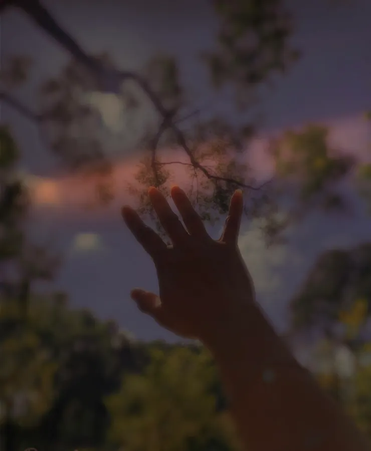 戀陽漫舞  拍攝   嚮往