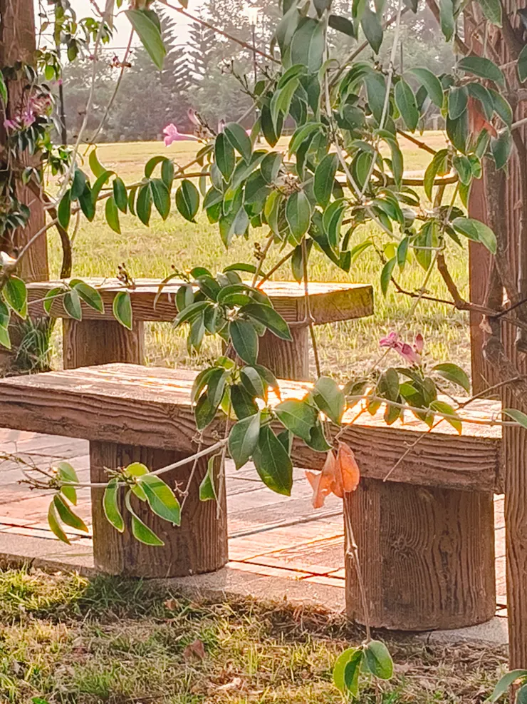 昨天試拍…很有感覺…