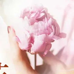 繁花盛開的沙龍