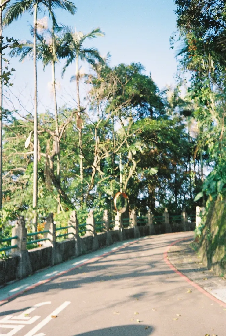 走在一座通往寺廟的山路上，旁邊發著光的岔路一直很吸引我。