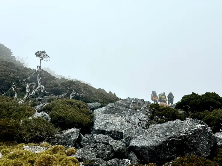 山、樹與岳人（此時已起霧，襯托得景色更似水墨畫）