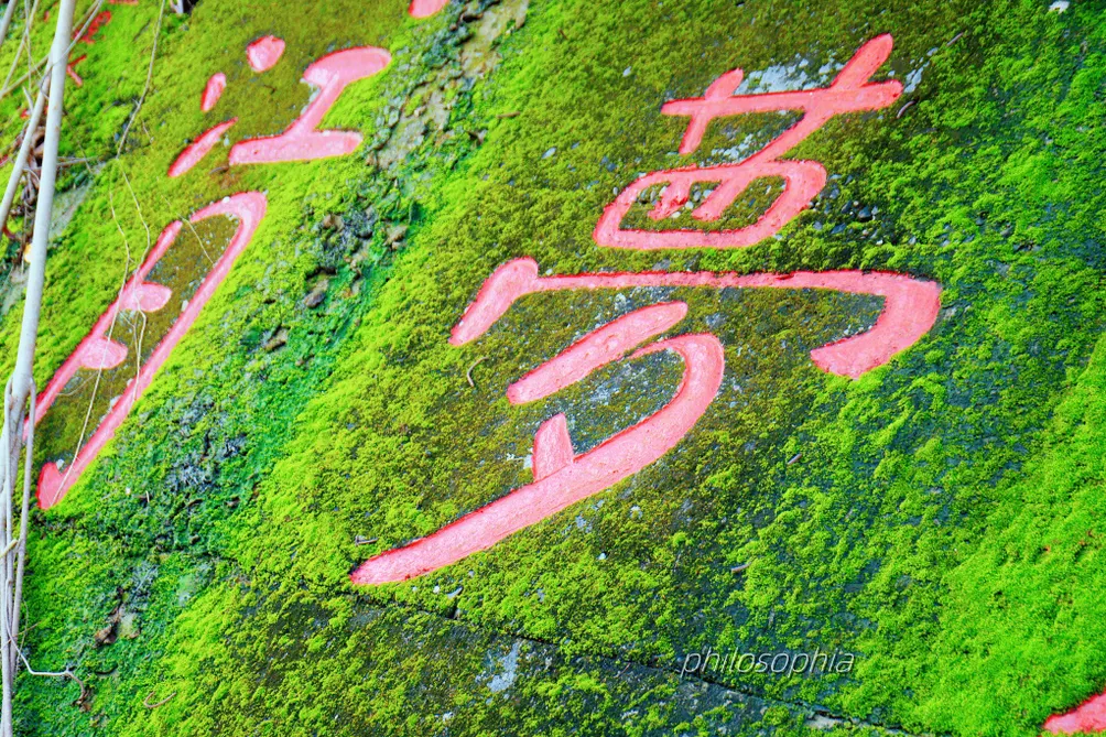 阿拔泉之霧--牛稠溪的光與影