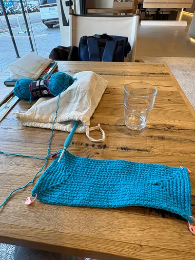 這週生活樣貌｜🧶📚🥗｜鉤針、沙拉、綠美圖