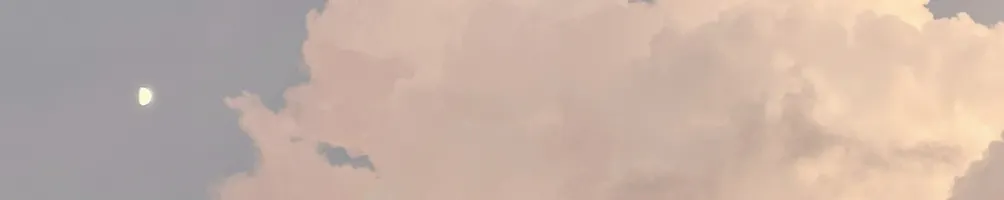 奶茶小姐的沙龍