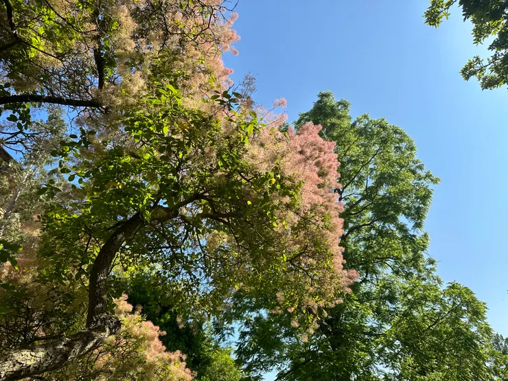 一切事物最好的狀態都是平衡