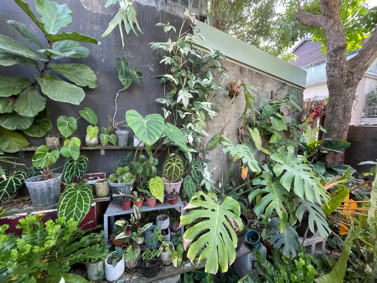 在 馬祖新村文創園區 內的商家門外