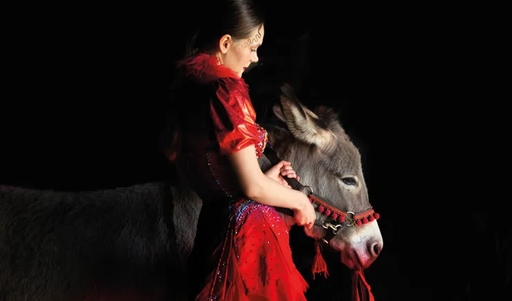 驢子和馬一樣，是有靈性的動物，人卻總是在窗外替他人做決定。