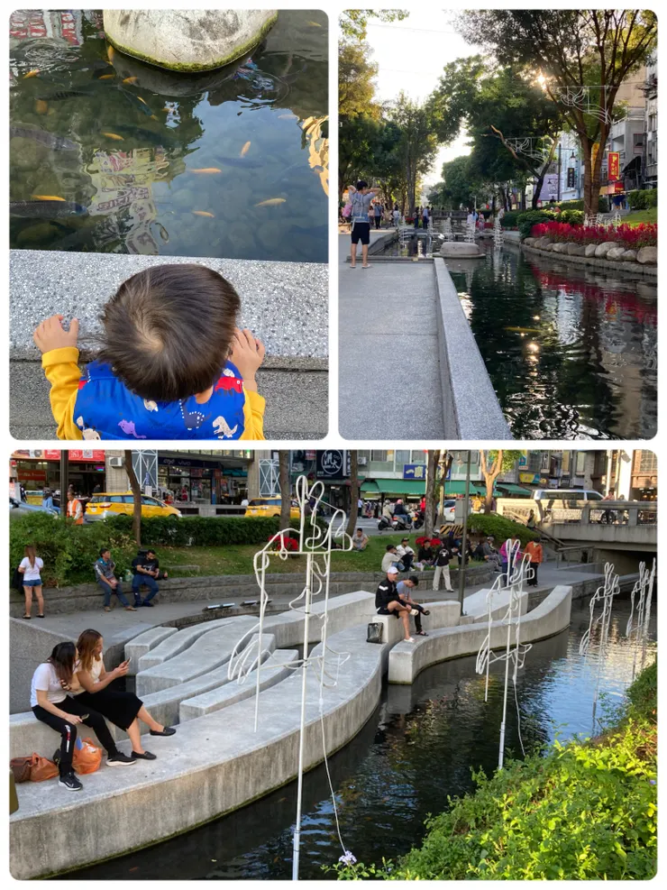 綠川內的魚也非常多！