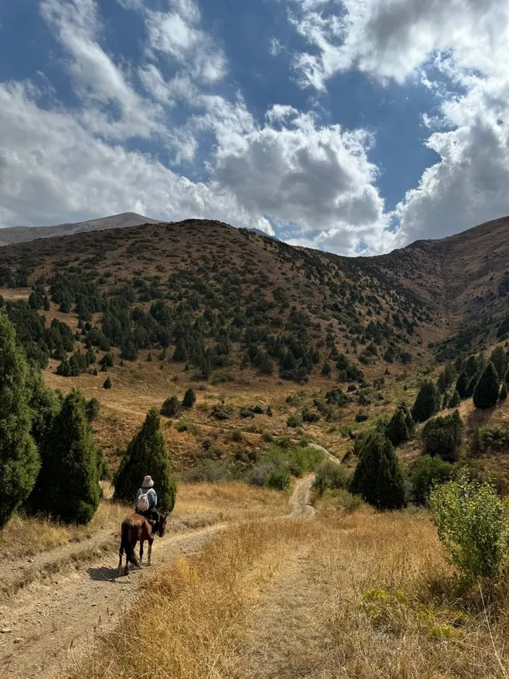 這張是此騎馬拍攝中最滿意的照片，謝旅伴當模特