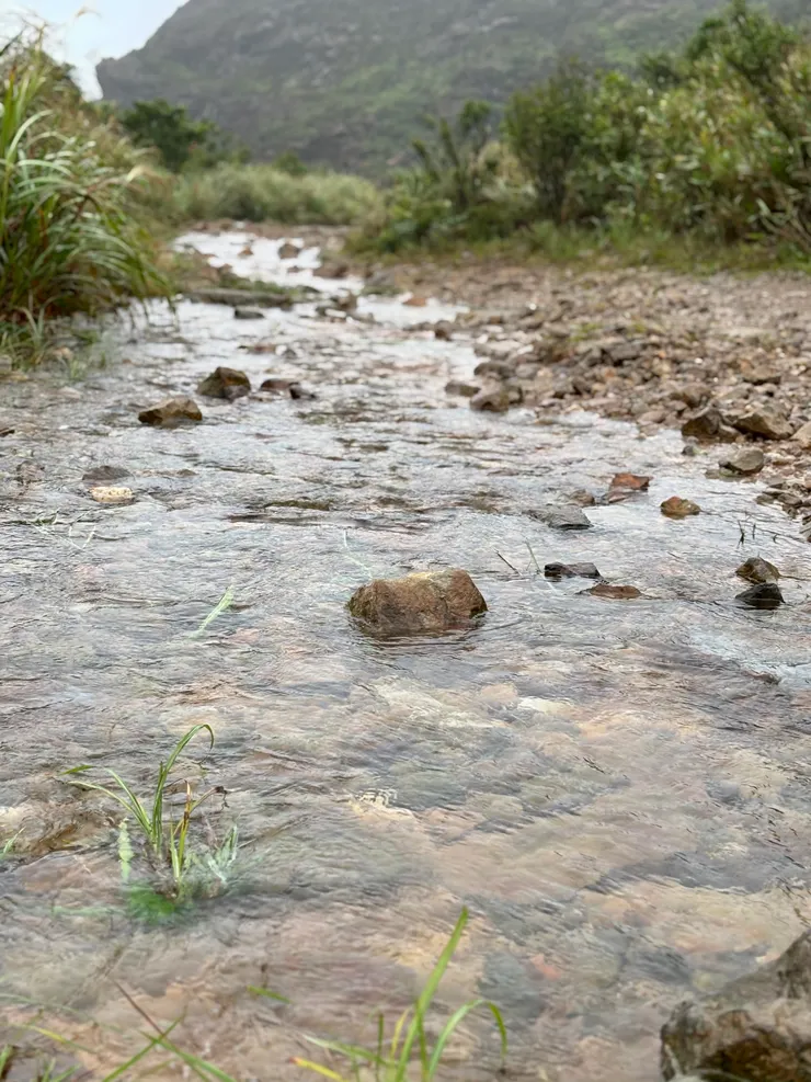 台電廢棄車道也變成寬闊河道