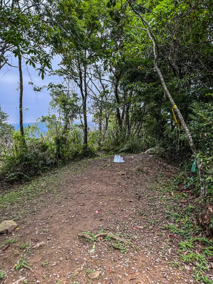 1538 抵逹牌子山。 位於電塔後方,腹地平坦,稍有展望。