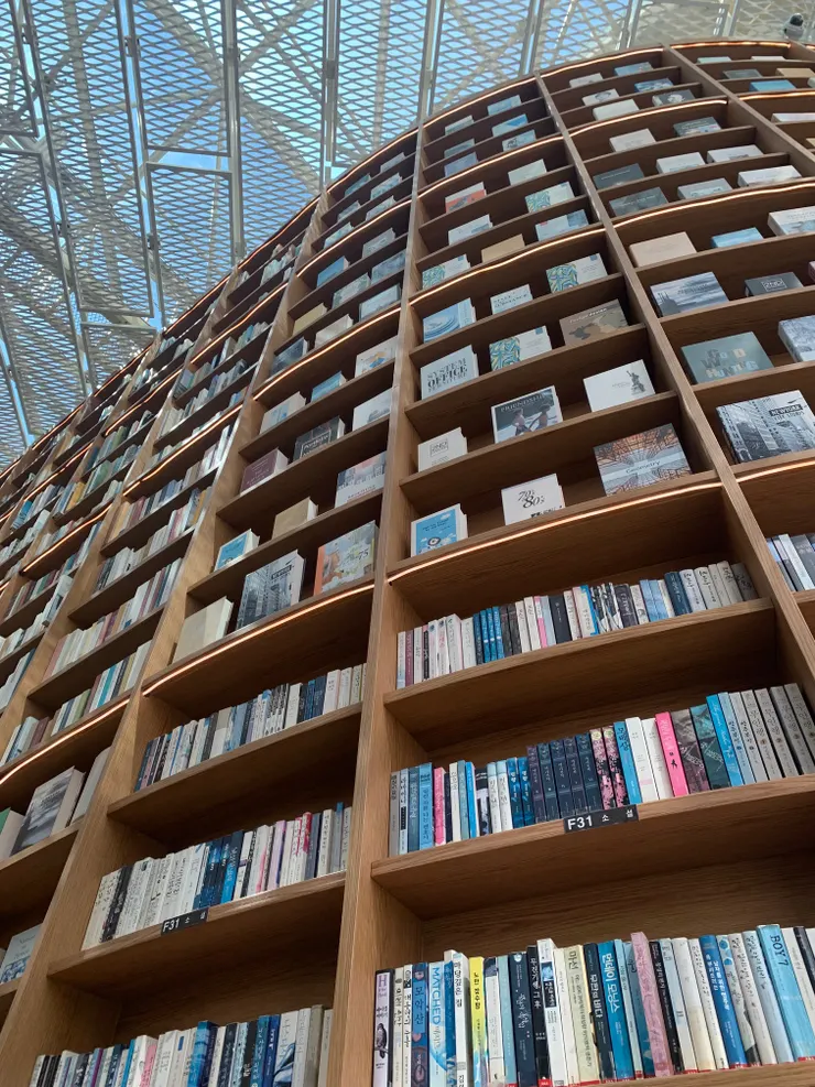 高聳的書牆，書拿的下來嗎？