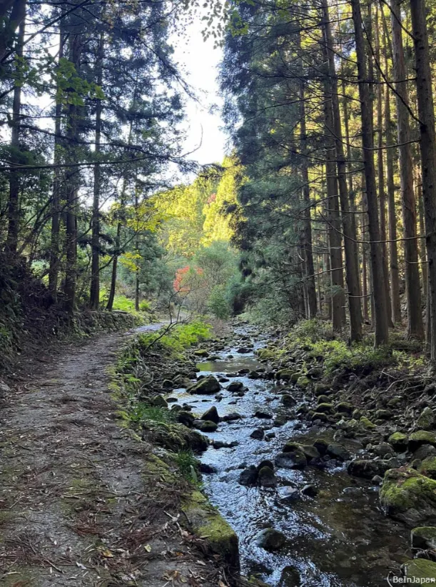 我想這裡夏天一定很受歡迎