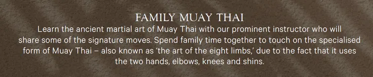 圖片：來自官方手冊的截圖