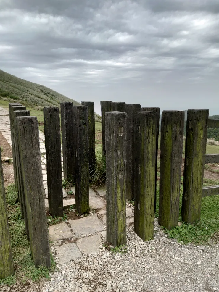 有人知道這是做什麼用的嗎？
